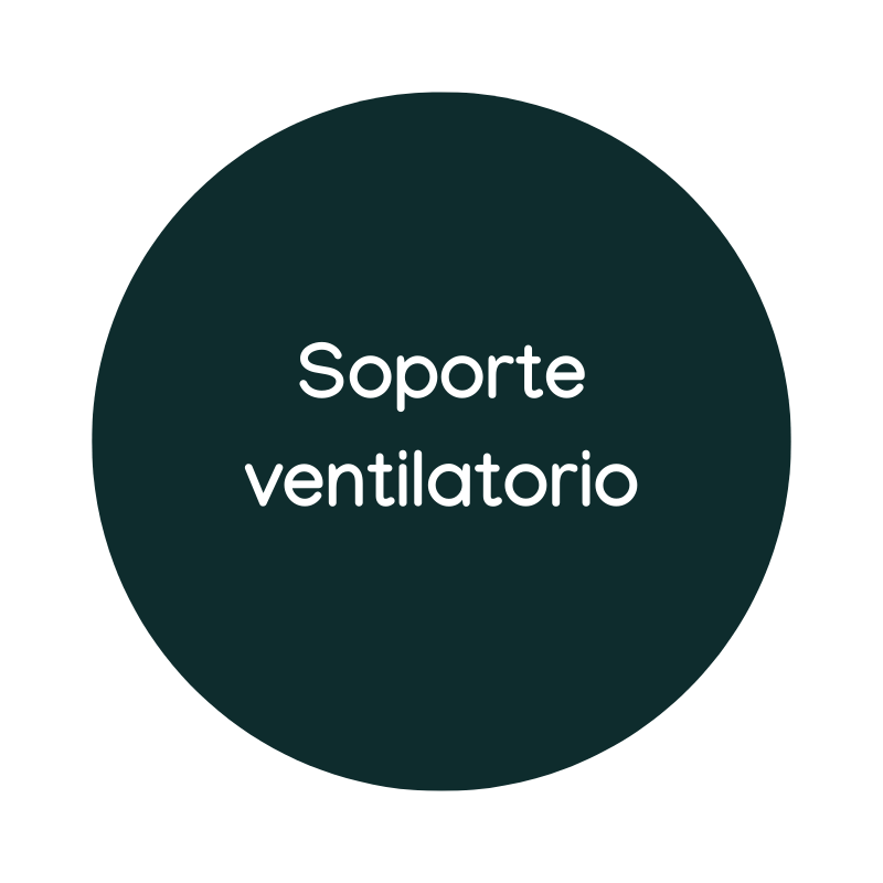 Soporte ventilatorio