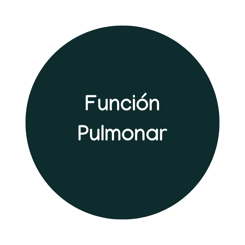 Función pulmonar